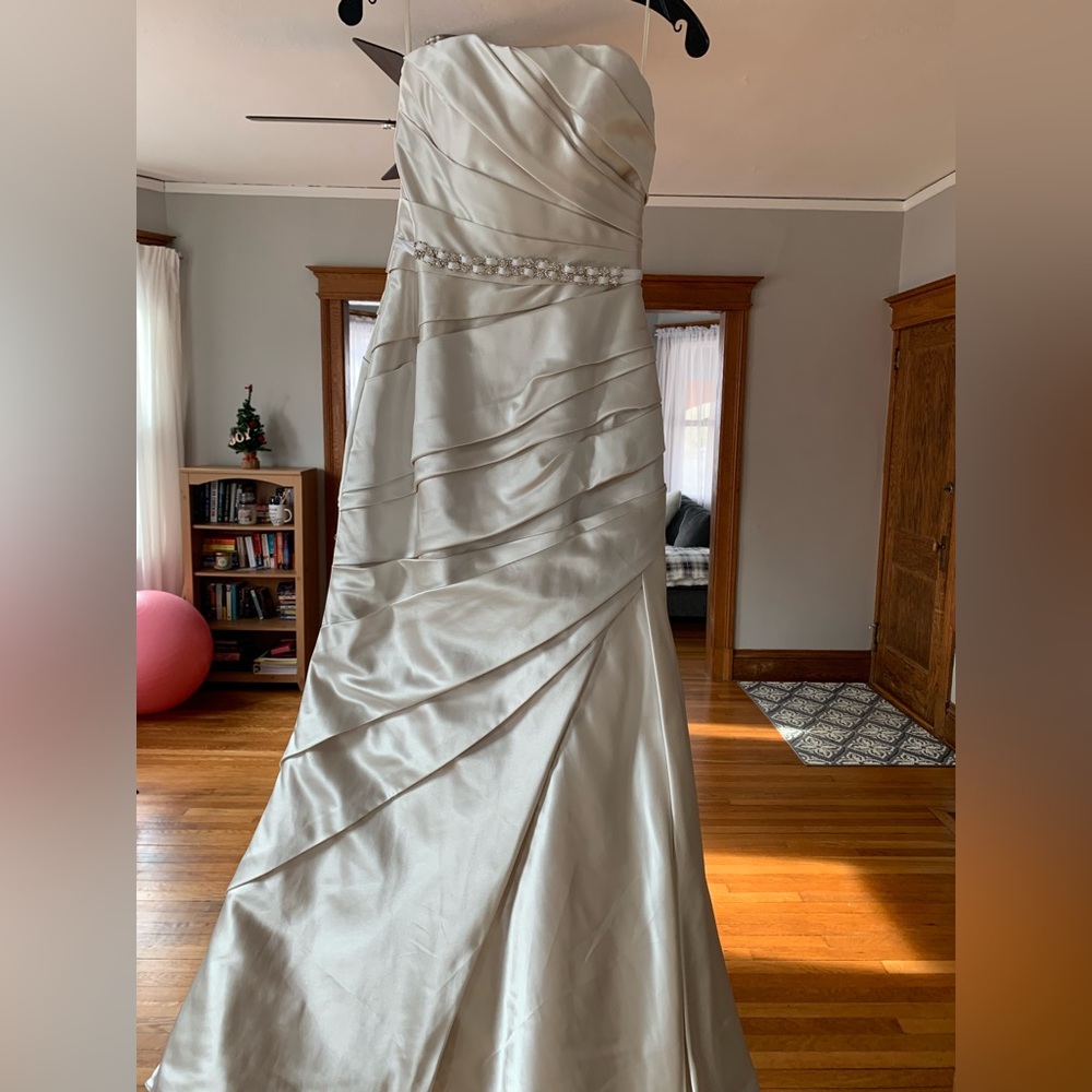 Pronovias Wedding Dress - Picture 6 of 8